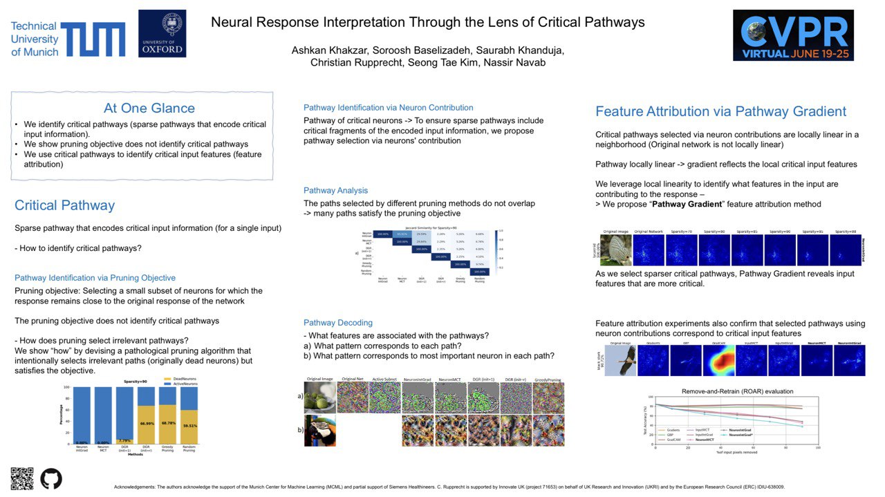 Neural Response Interpretation through the Lens of Critical Pathways